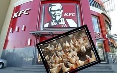 肯德基談“雞”色變 4月銷售業(yè)績不容樂觀