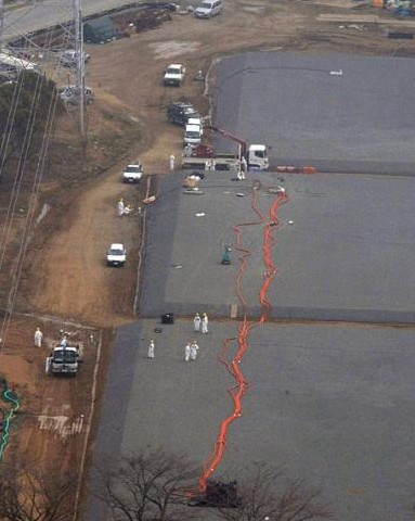 福島第一核電站內發(fā)現老鼠尸體 冷卻系統(tǒng)停運檢查