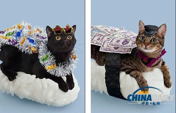 組圖：讓人垂涎欲滴卻不能吃 乖張可愛的貓咪壽司