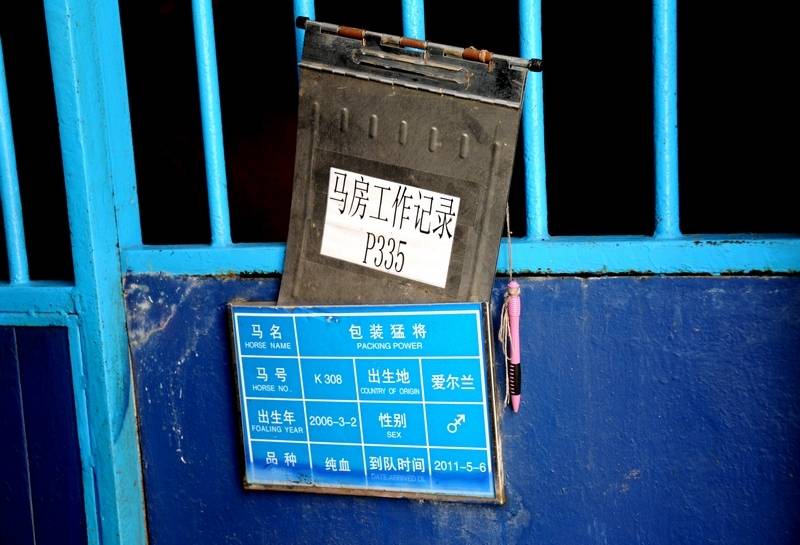 每匹馬養(yǎng)護成本2500元/月?探秘大連女騎警訓練基地