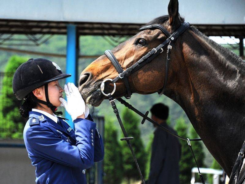 每匹馬養(yǎng)護(hù)成本2500元/月?探秘大連女騎警訓(xùn)練基地