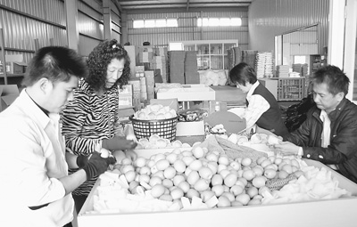 高雄農(nóng)漁業(yè)的“美麗轉(zhuǎn)身”(行走臺灣)