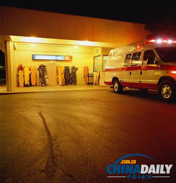 美國(guó)癱瘓男子收養(yǎng)小狗 熟睡時(shí)被咬掉睪丸