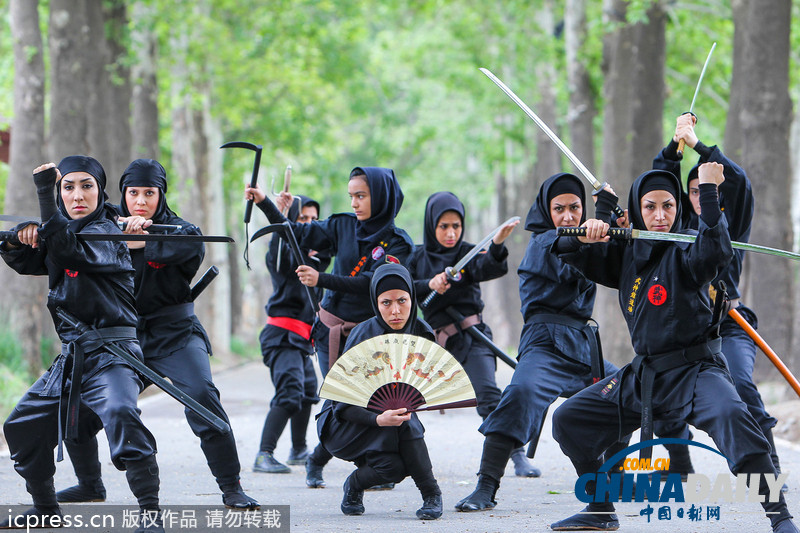 盤點(diǎn)各國神奇功夫 武林爭霸誰與爭鋒（高清組圖）