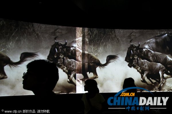 日本公司聯(lián)手BBC打造的體感博物館正式開(kāi)放(圖)