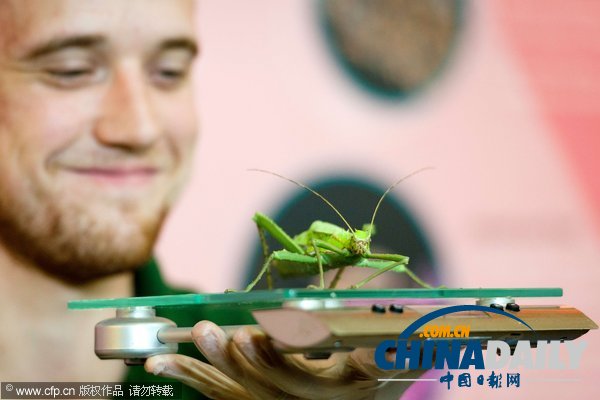 倫敦動(dòng)物園年度大體檢啟動(dòng) 各萌主乖乖“入甕”(組圖)