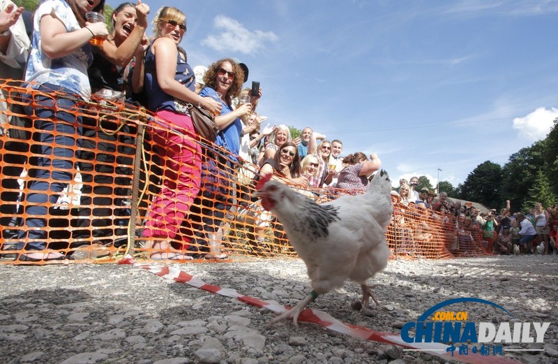 看全球奇葩動(dòng)物競(jìng)賽 妙趣橫生令人捧腹