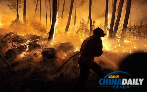 葡萄牙森林大火肆虐 導(dǎo)致一名女性消防員死亡