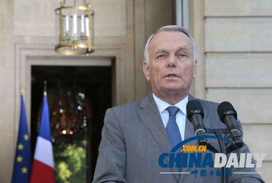 法公布敘政府使用化武證據(jù) 稱敘反對派無能力發(fā)動襲擊