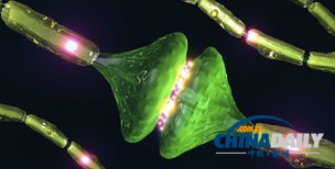 科學(xué)家發(fā)現(xiàn)睡眠補(bǔ)充腦細(xì)胞