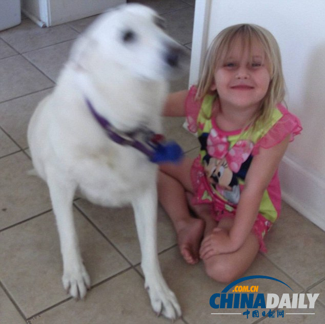 美殘障女孩攜服務(wù)犬上學(xué)遭拒絕