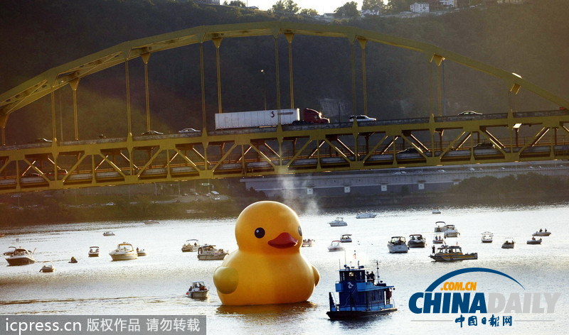 大黃鴨亮相美國匹茲堡引數(shù)千人圍觀