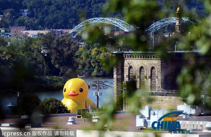 大黃鴨亮相美國(guó)匹茲堡引數(shù)千人圍觀
