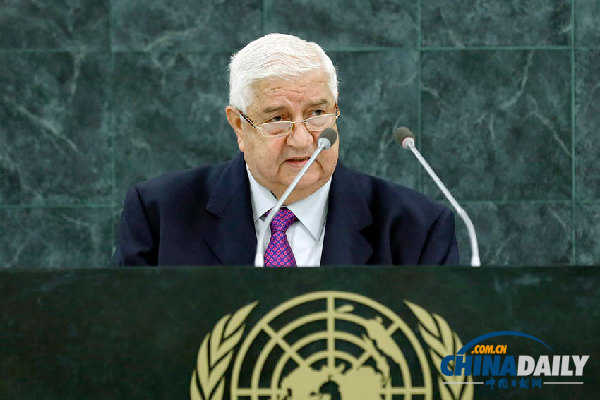 敘利亞副總理:銷毀反叛武裝所持化學(xué)武器面臨挑戰(zhàn)