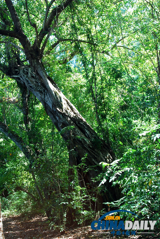 玩在印尼:松巴島南沙灘美不勝收(組圖)