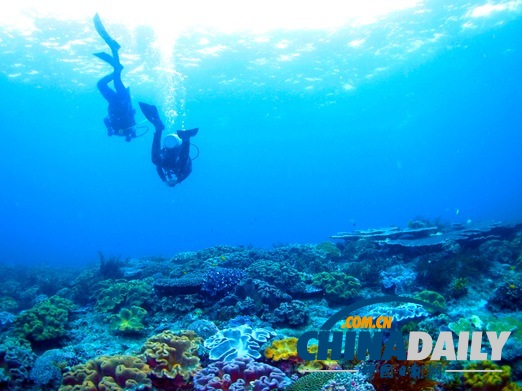 玩在印尼:巴厘島潛水傻瓜指南(組圖)