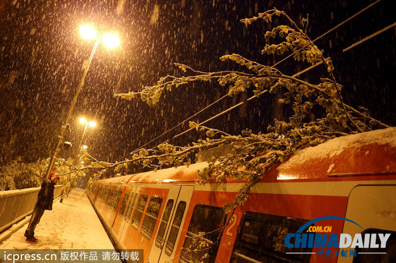 德國巴伐利亞大雪成災 鐵路交通陷于癱瘓（圖）