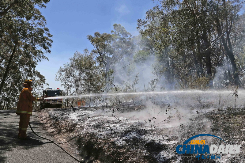 澳大利亞山火持續(xù)肆虐 滅火飛機墜毀飛行員生死未卜