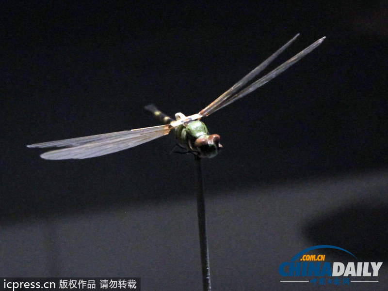 美國監(jiān)聽門愈演愈烈 盤點(diǎn)身邊的“第三只眼”