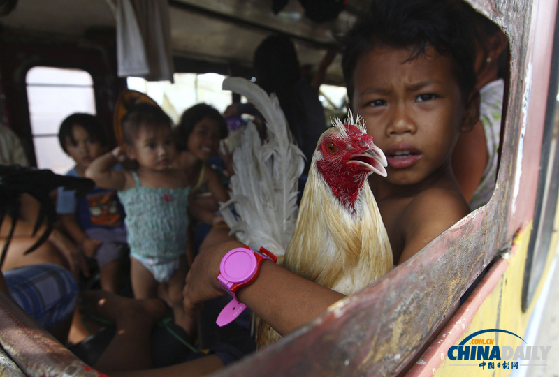 災(zāi)難無情人有情：盤點(diǎn)菲律賓災(zāi)區(qū)感人瞬間（組圖）