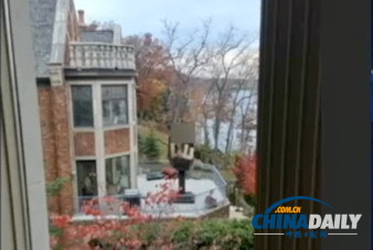 美國男子不滿戴“綠帽” 搬進(jìn)前妻隔壁豎中指雕像