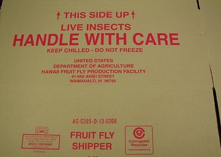 停車費(fèi)高達(dá)6位數(shù) 美國(guó)政府被爆仍在高消費(fèi)