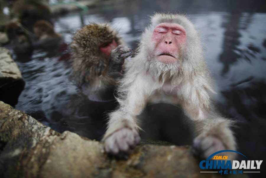 一周看天下:法國(guó)總統(tǒng)與女友分手