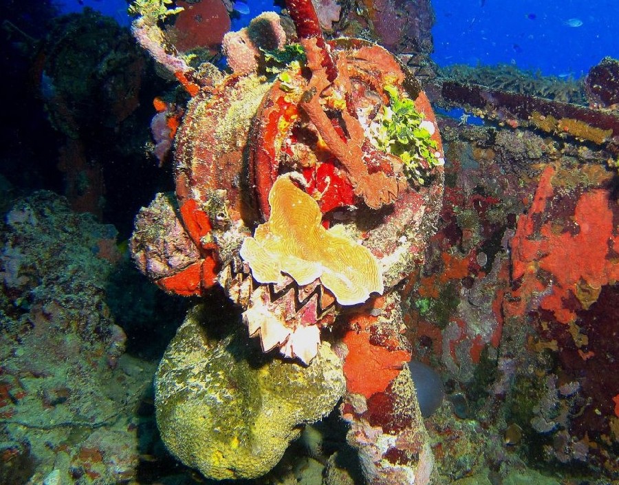 英女?dāng)z影師探秘最大水下二戰(zhàn)船舶墓地 日軍曾駐扎