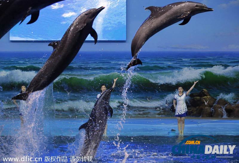 朝鮮民眾觀看海豚表演