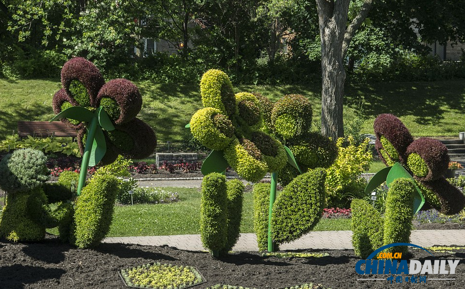 國(guó)際立體花壇大賽：和剪刀手愛(ài)德華“一決高下”