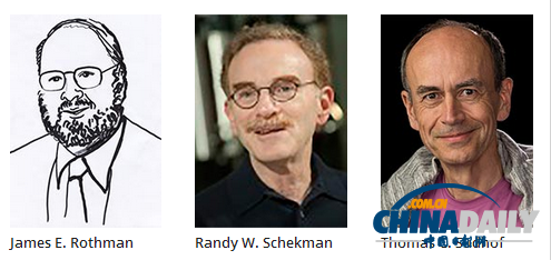 諾貝爾獎生理學和醫(yī)學獎揭曉 物理學獎存懸念