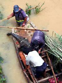 Search for escaped crocodiles continues