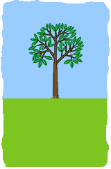 Arbor Day（植樹節(jié)）