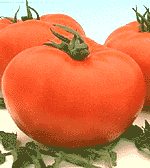 世界上最受歡迎的水果