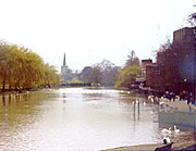 Shakespeare's Birthday(莎士比亞誕辰紀念日)