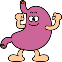 Why does your stomach growl?