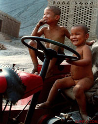 開車時想點啥?性?還是紅綠燈?