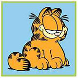 Garfield 2《加菲貓》2(精講之二)