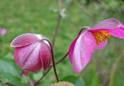 享受過程的樂趣(強(qiáng)烈推薦)