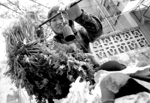 清華女碩士失業(yè)后擺攤賣(mài)菜