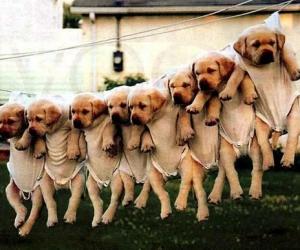 校園澡堂里勁歌金曲榜