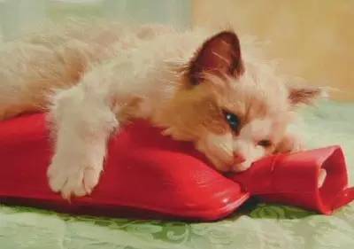 女生每個月的那幾天怎么說？外國妹子竟然也說“大姨媽”！