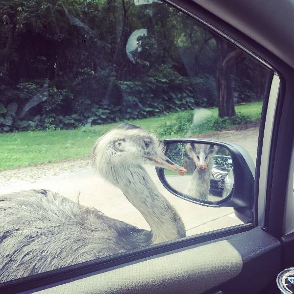 看到玻璃就想照鏡子？