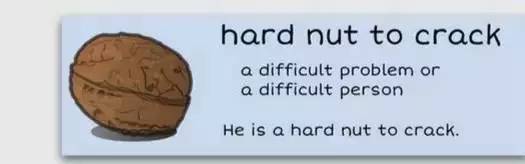 萌你一臉的生活常用諺語(yǔ)！