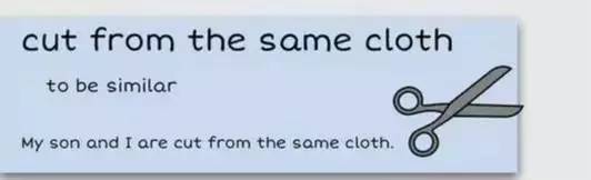 萌你一臉的生活常用諺語(yǔ)！