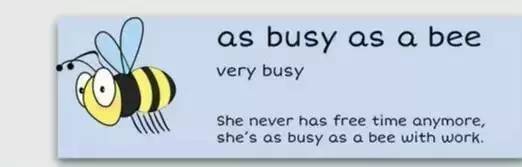 萌你一臉的生活常用諺語(yǔ)！