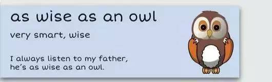 萌你一臉的生活常用諺語(yǔ)！