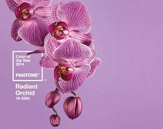 搶先看！2018年度色彩如此神秘又高科技