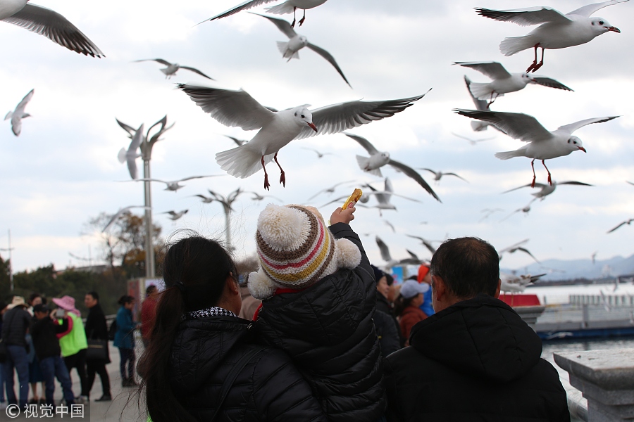 春節(jié)不知道去哪玩？國內(nèi)十大熱門城市走起！（組圖）