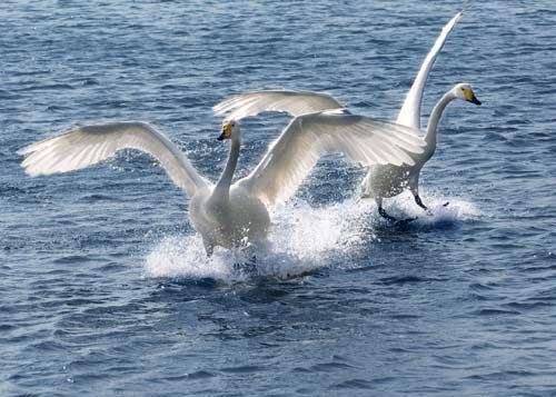 The Social Network《社交網(wǎng)絡》精講之六